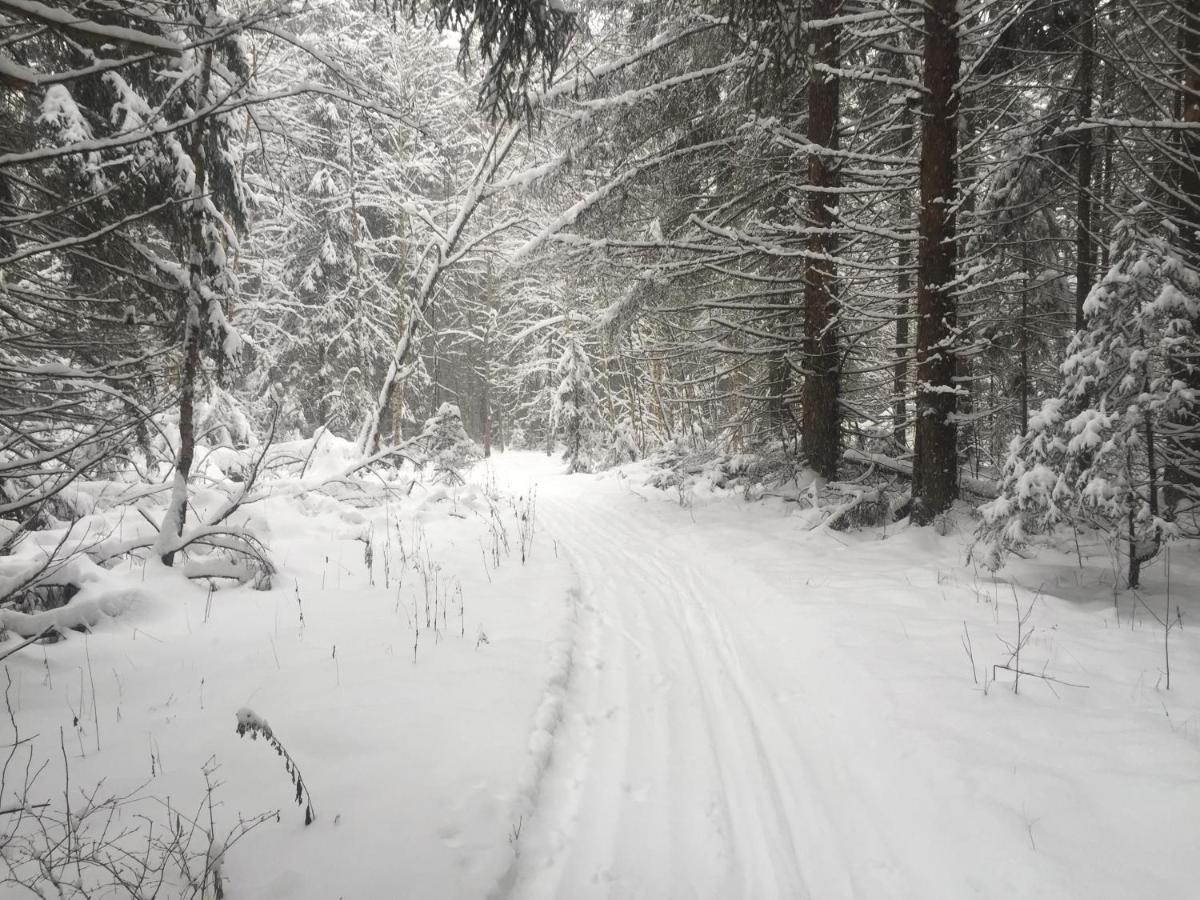 Penzion Novinki Park Danki Exteriér fotografie